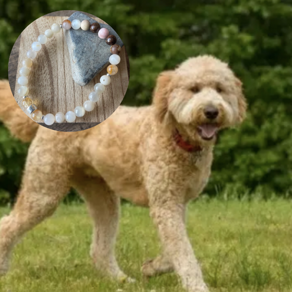 Doodles - Dog Bracelet