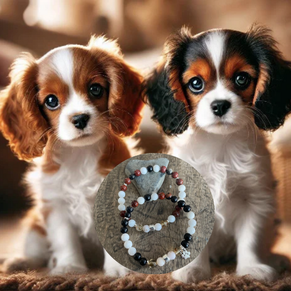 Cavalier King Charles - Dog Bracelet
